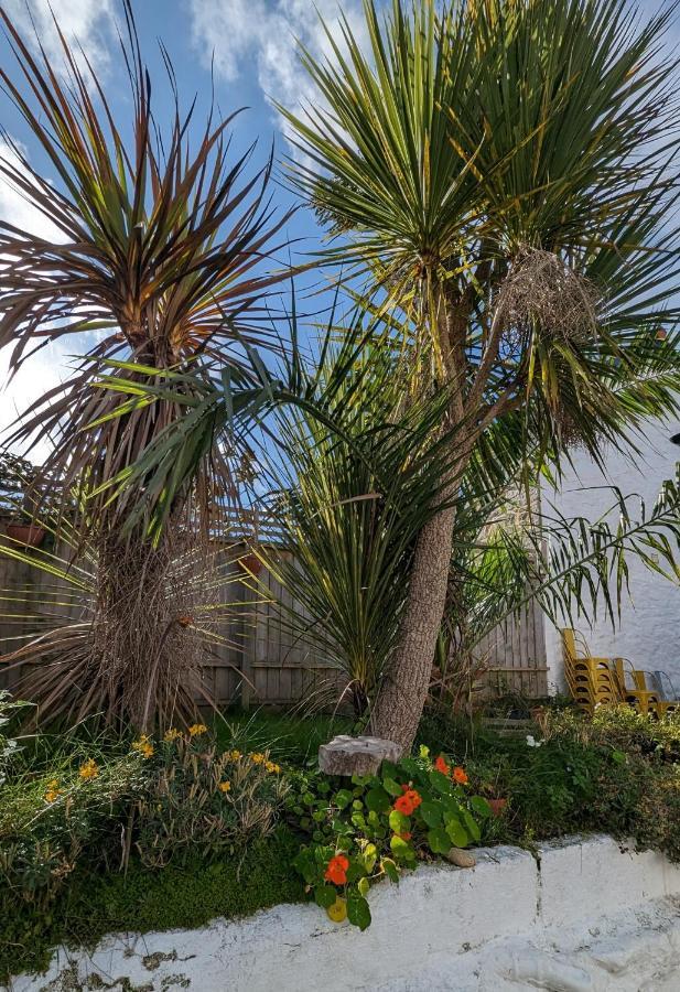Britannia House Vintage B&B Cornwall Helston Luaran gambar